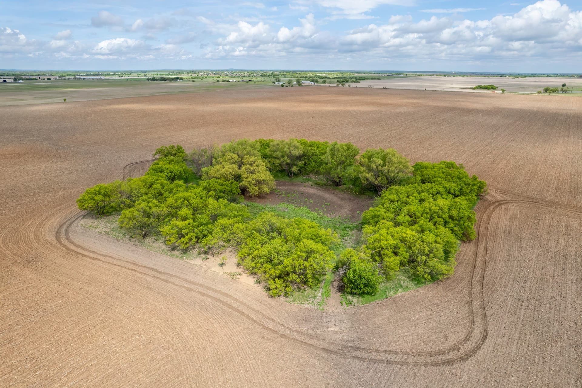 249.37 acres in Coleman County gallery image 3