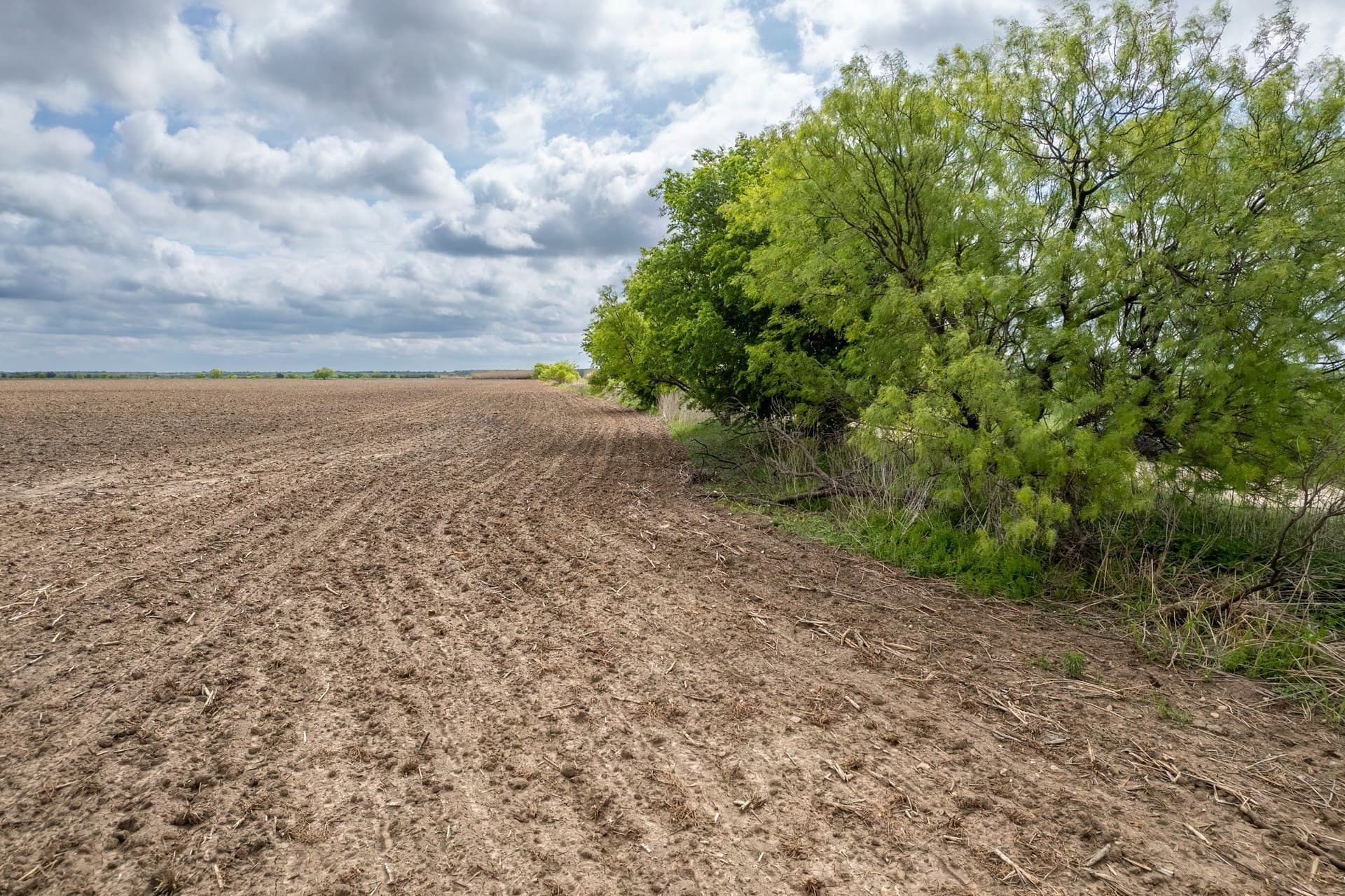 249.37 acres in Coleman County featured view