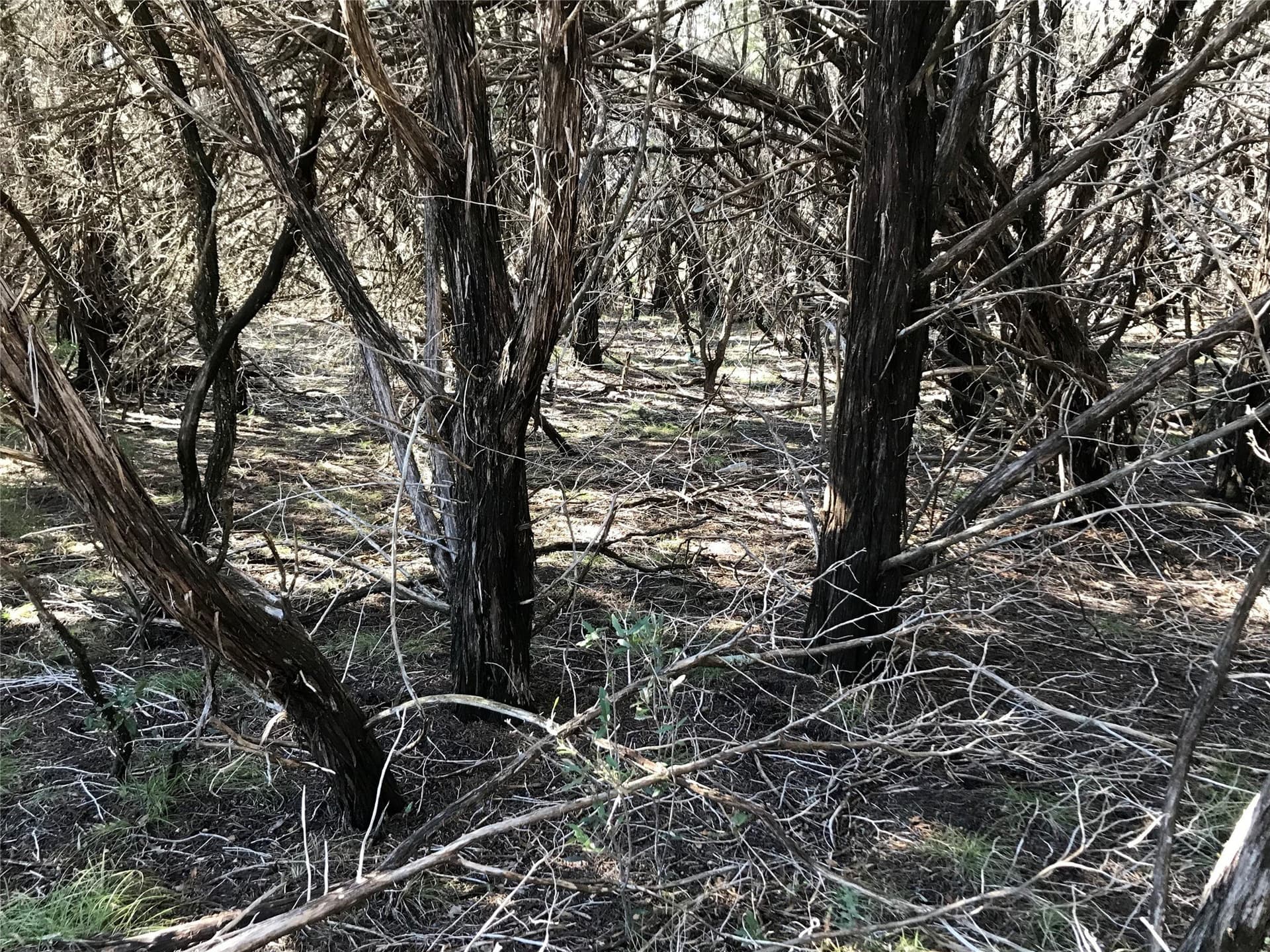 0.24 acres in Hill County - photo 5