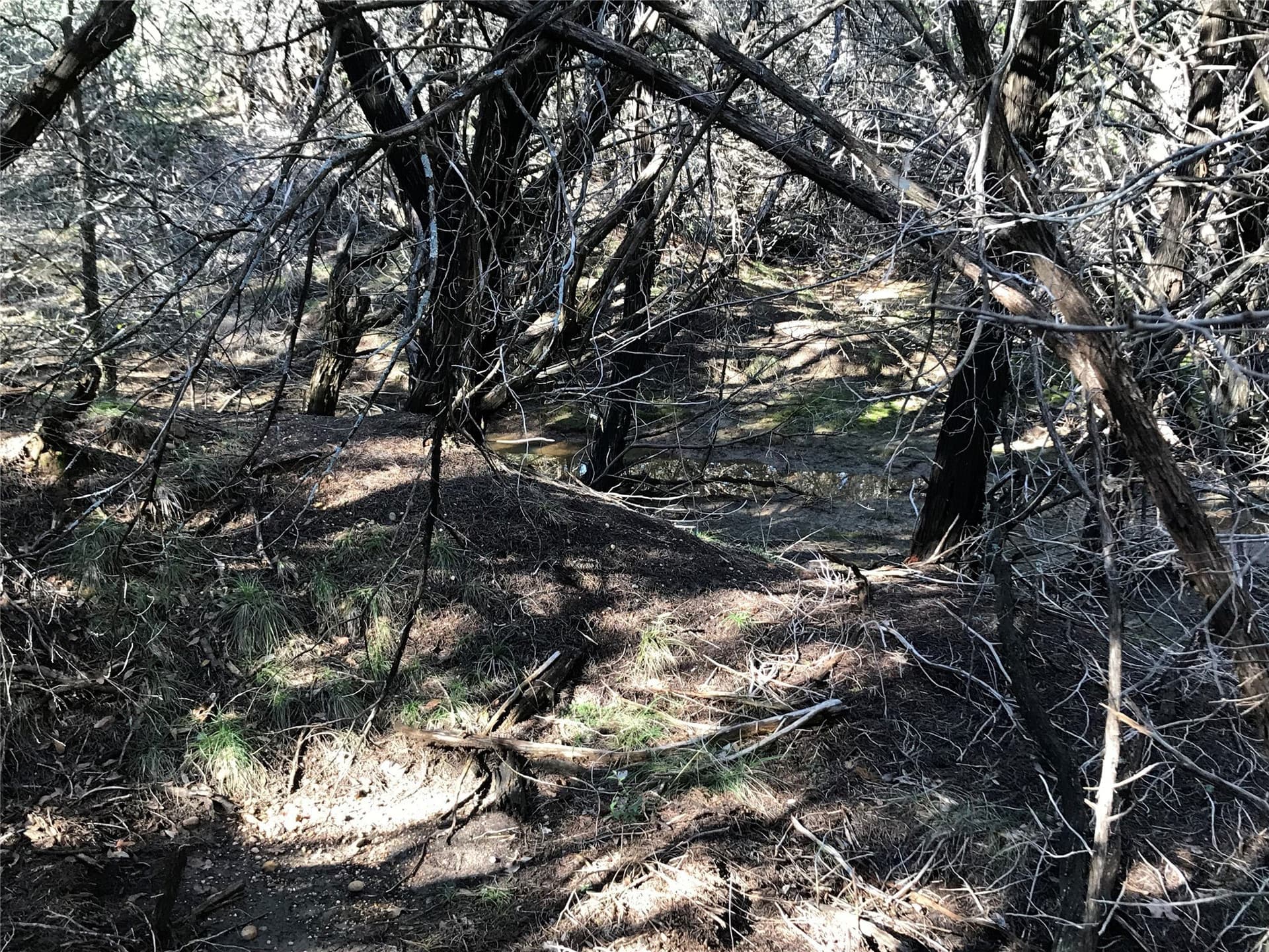 0.24 acres in Hill County - photo 10