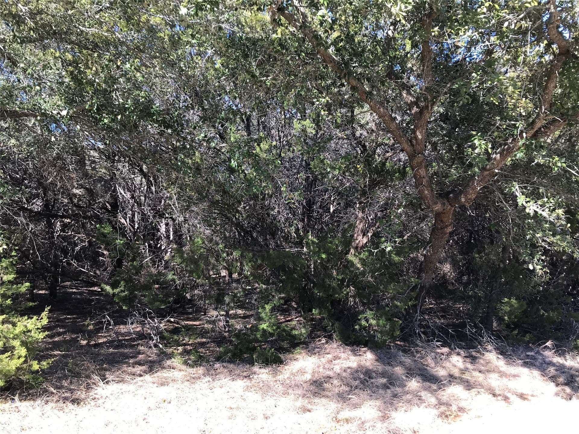 0.24 acres in Hill County - photo 13