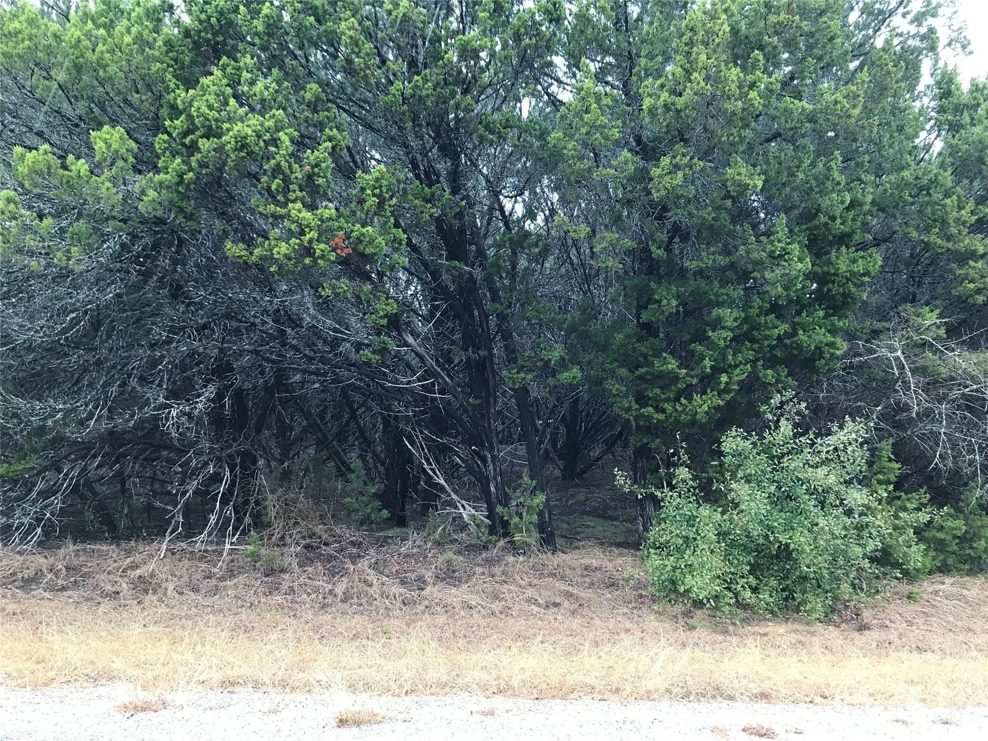 0.24 acres in Hill County