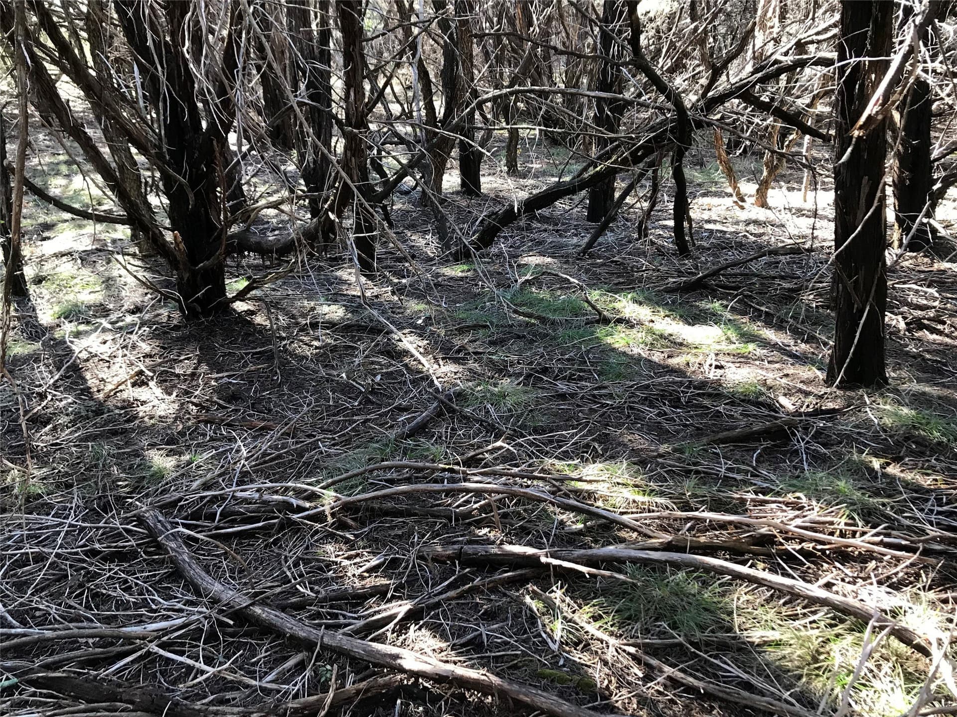 0.24 acres in Hill County - photo 8