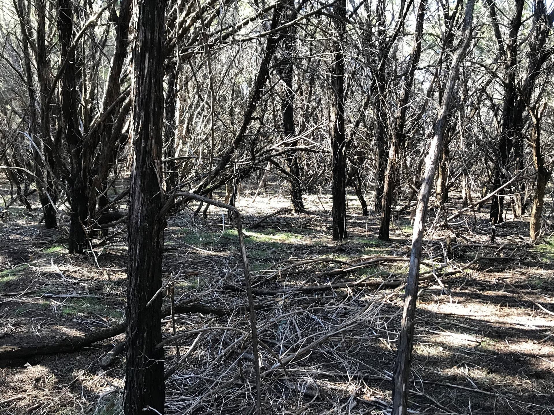 0.24 acres in Hill County - photo 7