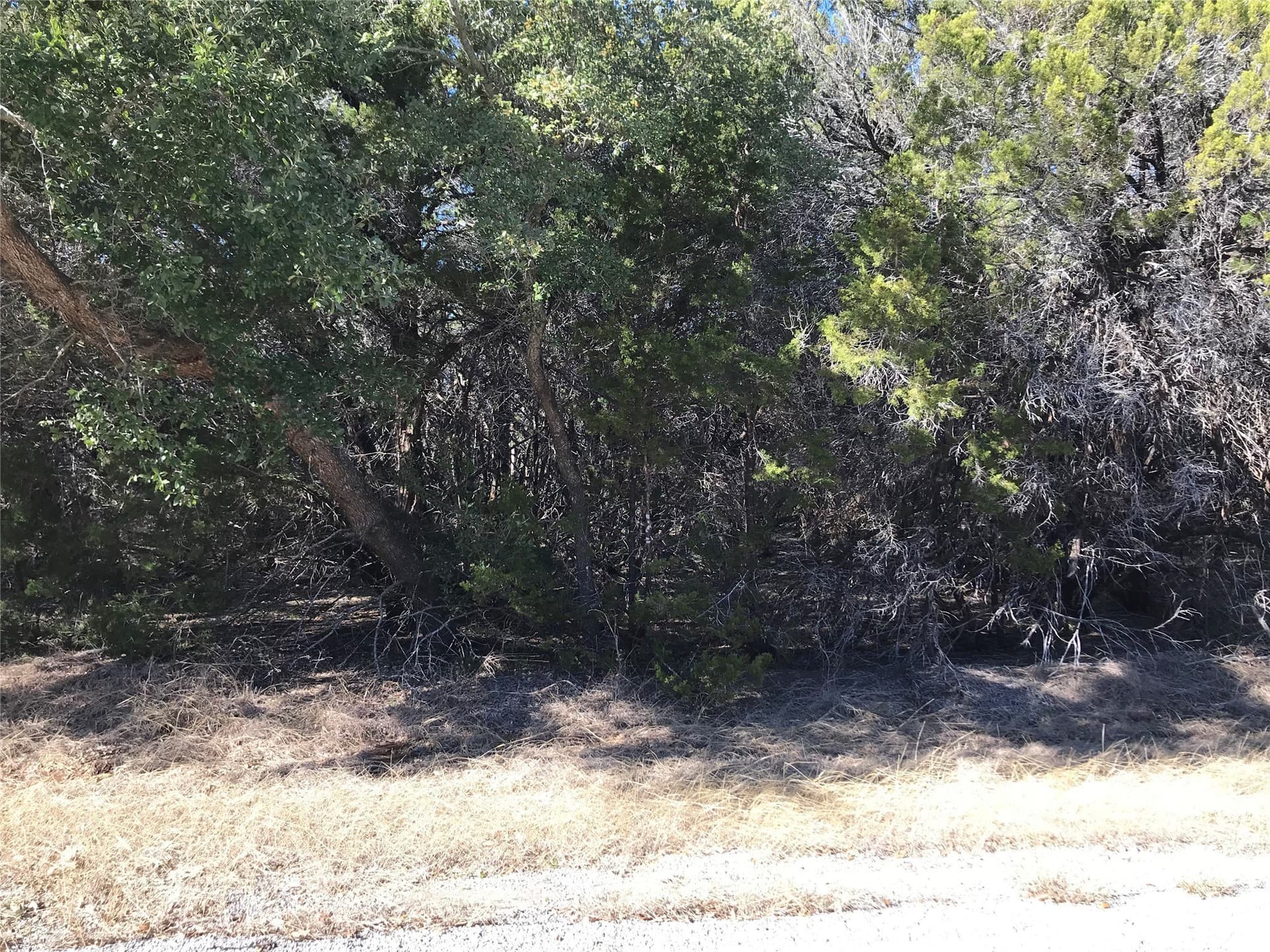 0.24 acres in Hill County - photo 12