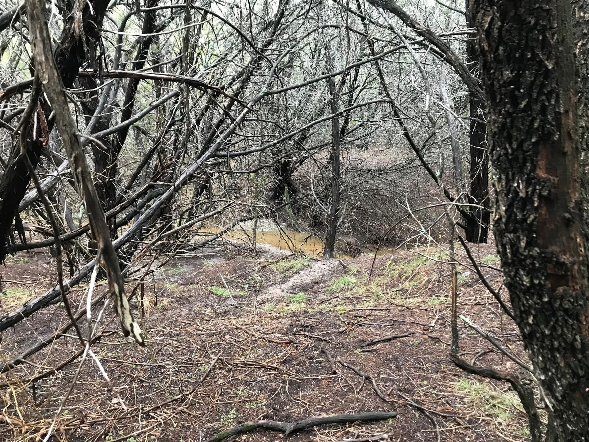 0.24 acres in Hill County - photo 16