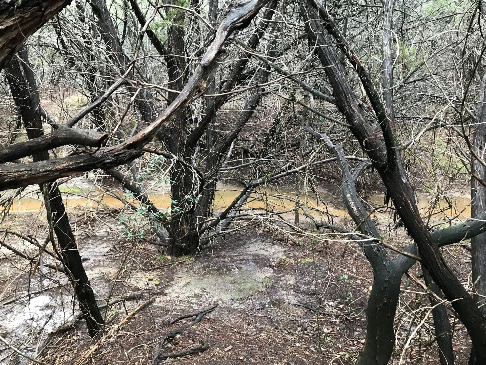0.24 acres in Hill County - photo 17