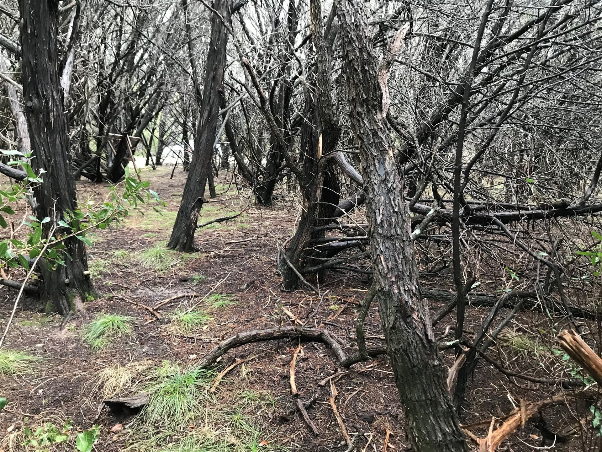 0.24 acres in Hill County - photo 18