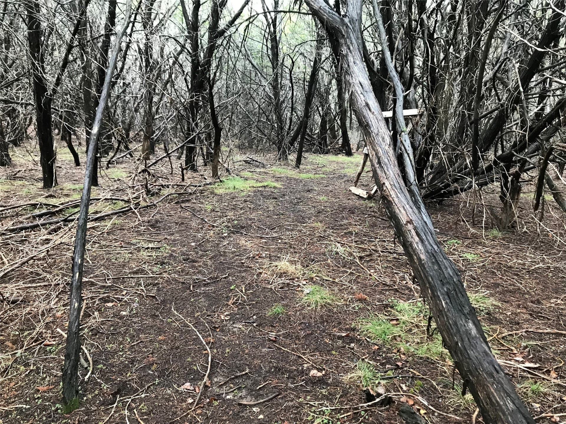 0.24 acres in Hill County - photo 15