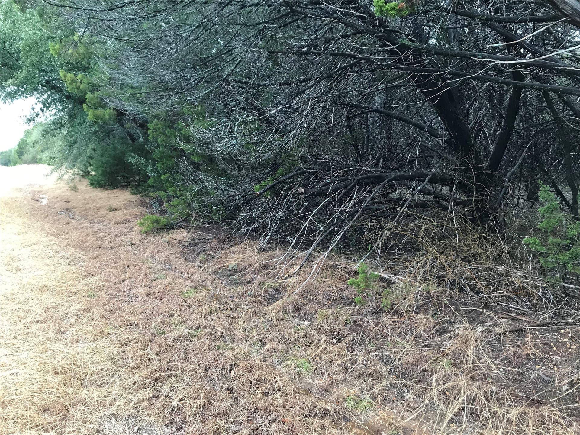 0.24 acres in Hill County - photo 2
