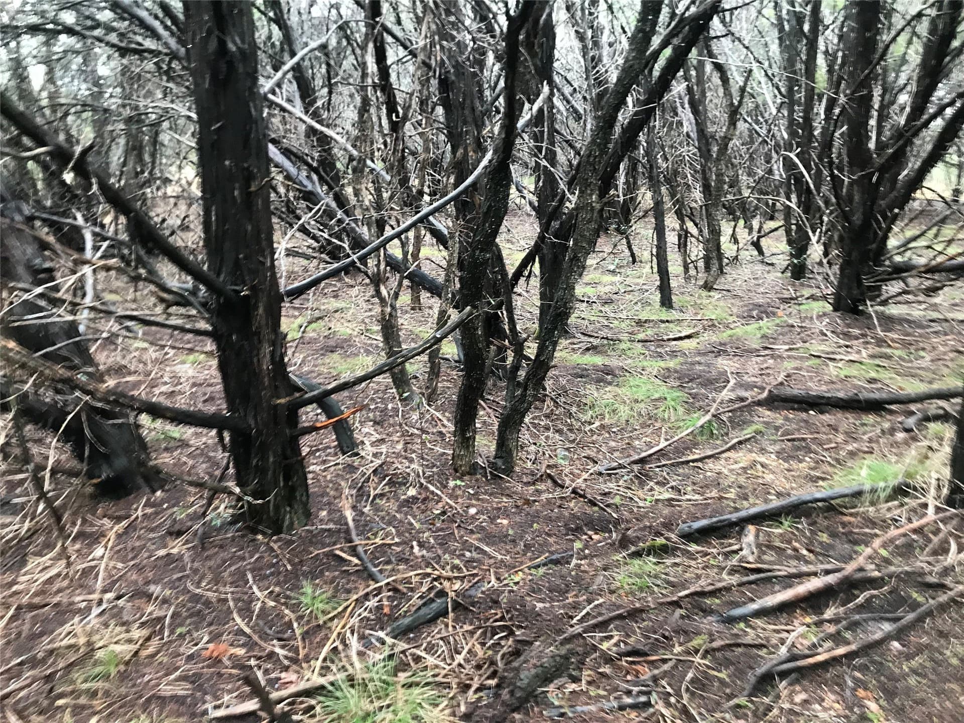 0.24 acres in Hill County - photo 14