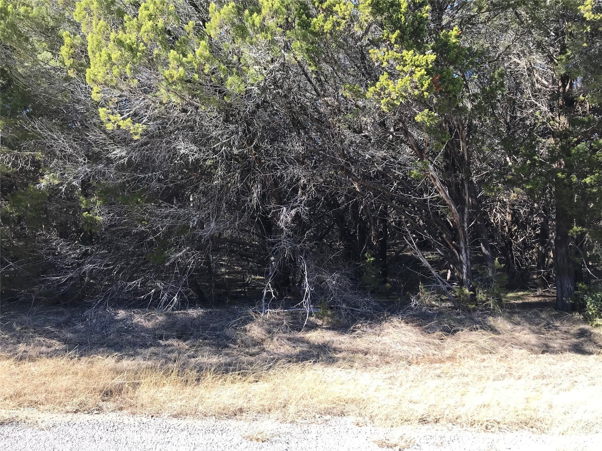 0.24 acres in Hill County - photo 11