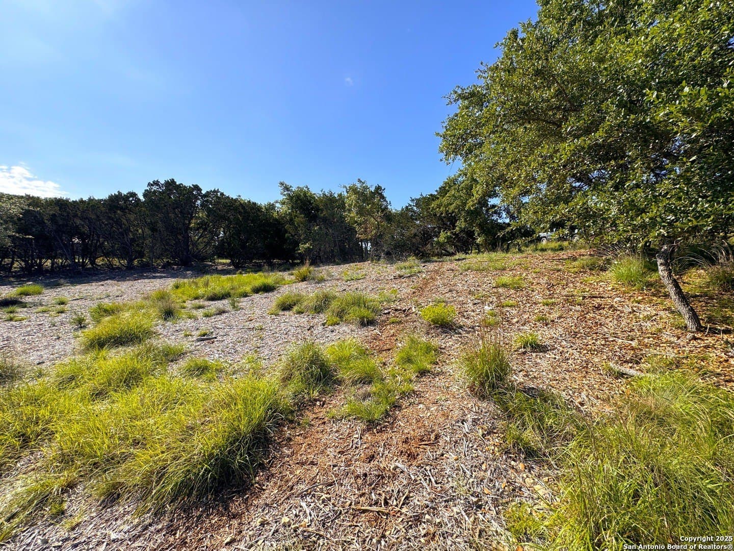 1.04 acres in Comal County - photo 13