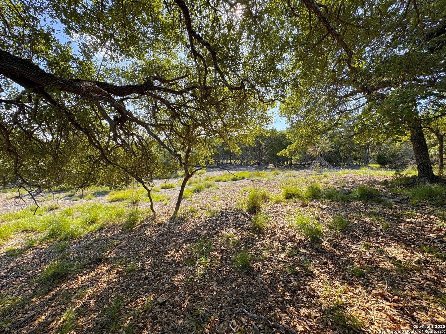 1.04 acres in Comal County featured view