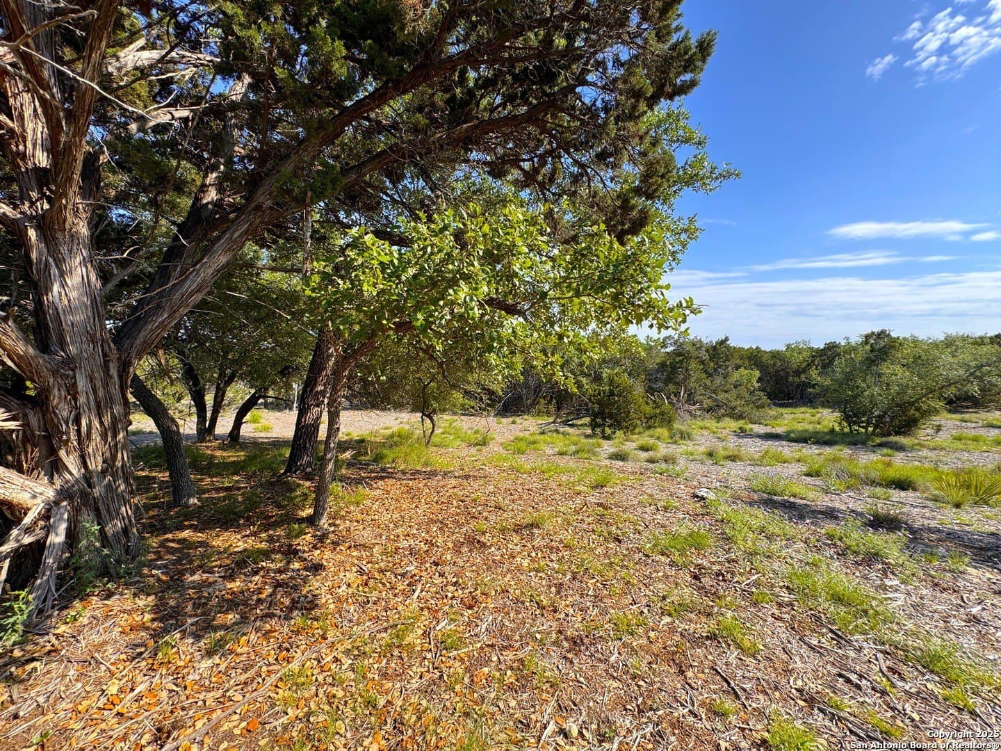 1.04 acres in Comal County - photo 7