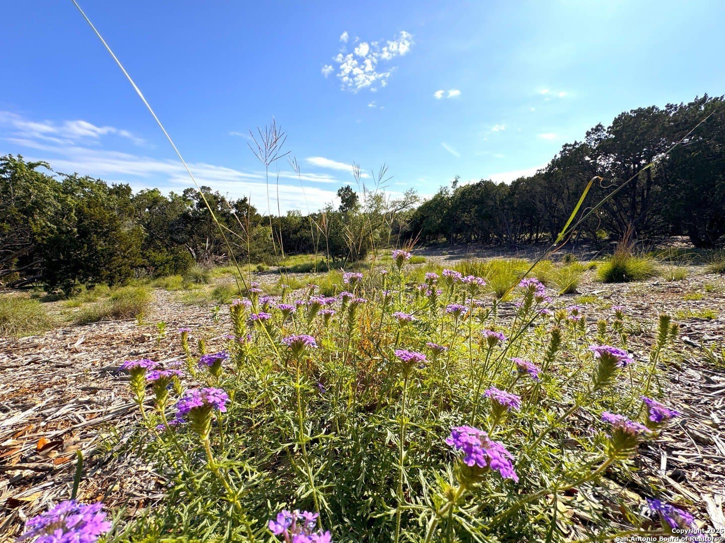 1.04 acres in Comal County - photo 9
