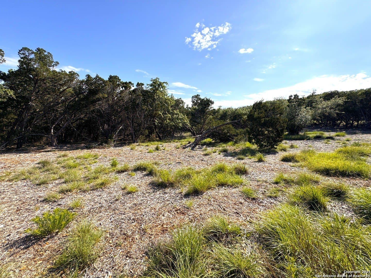 1.04 acres in Comal County - photo 8