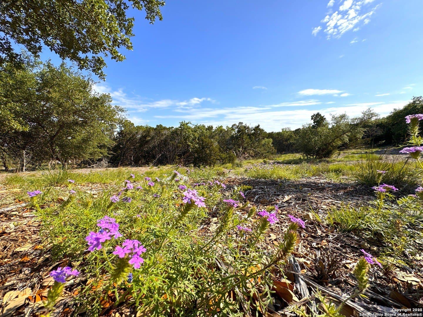 1.04 acres in Comal County - photo 6
