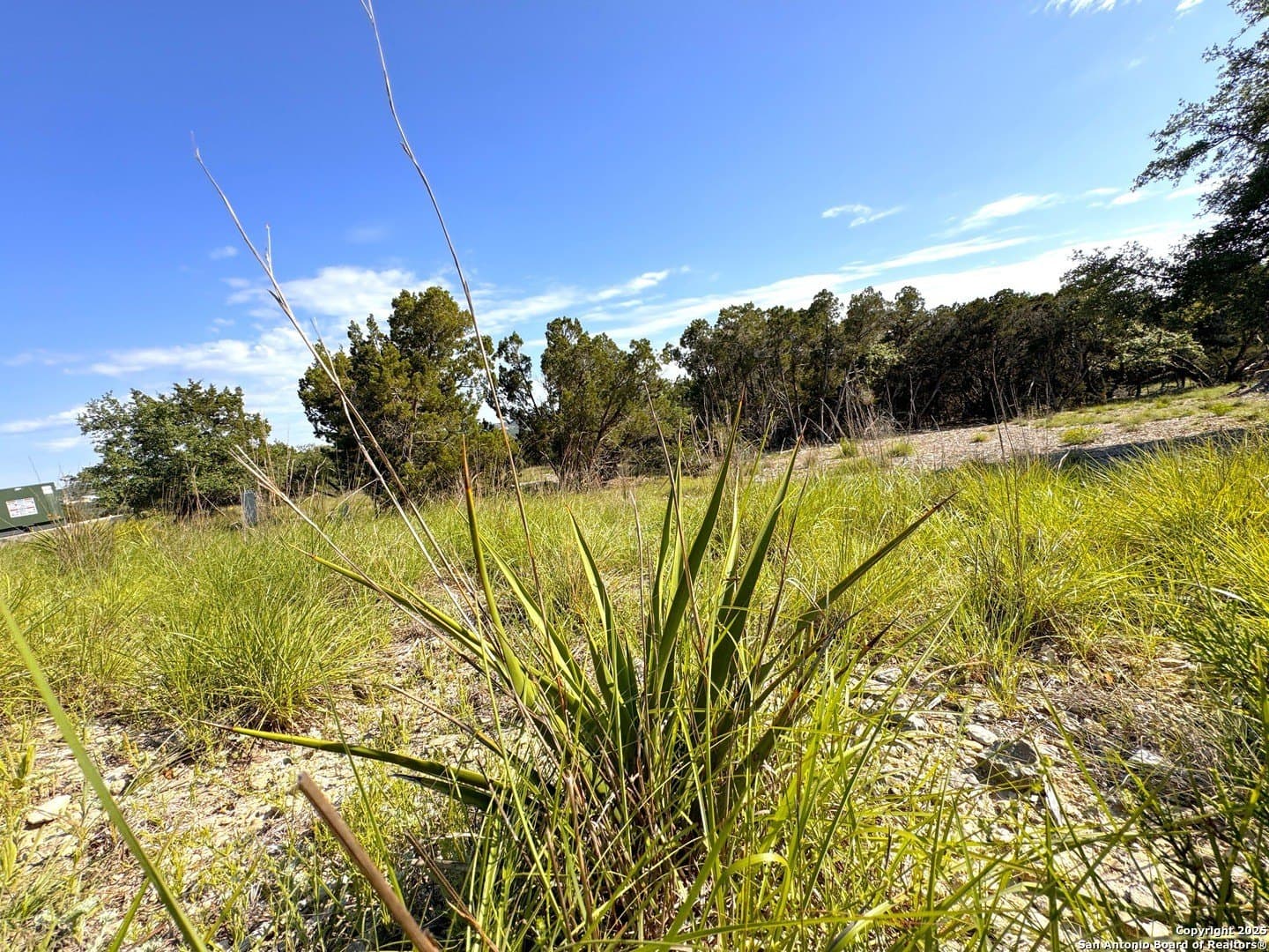 1.04 acres in Comal County gallery image 2