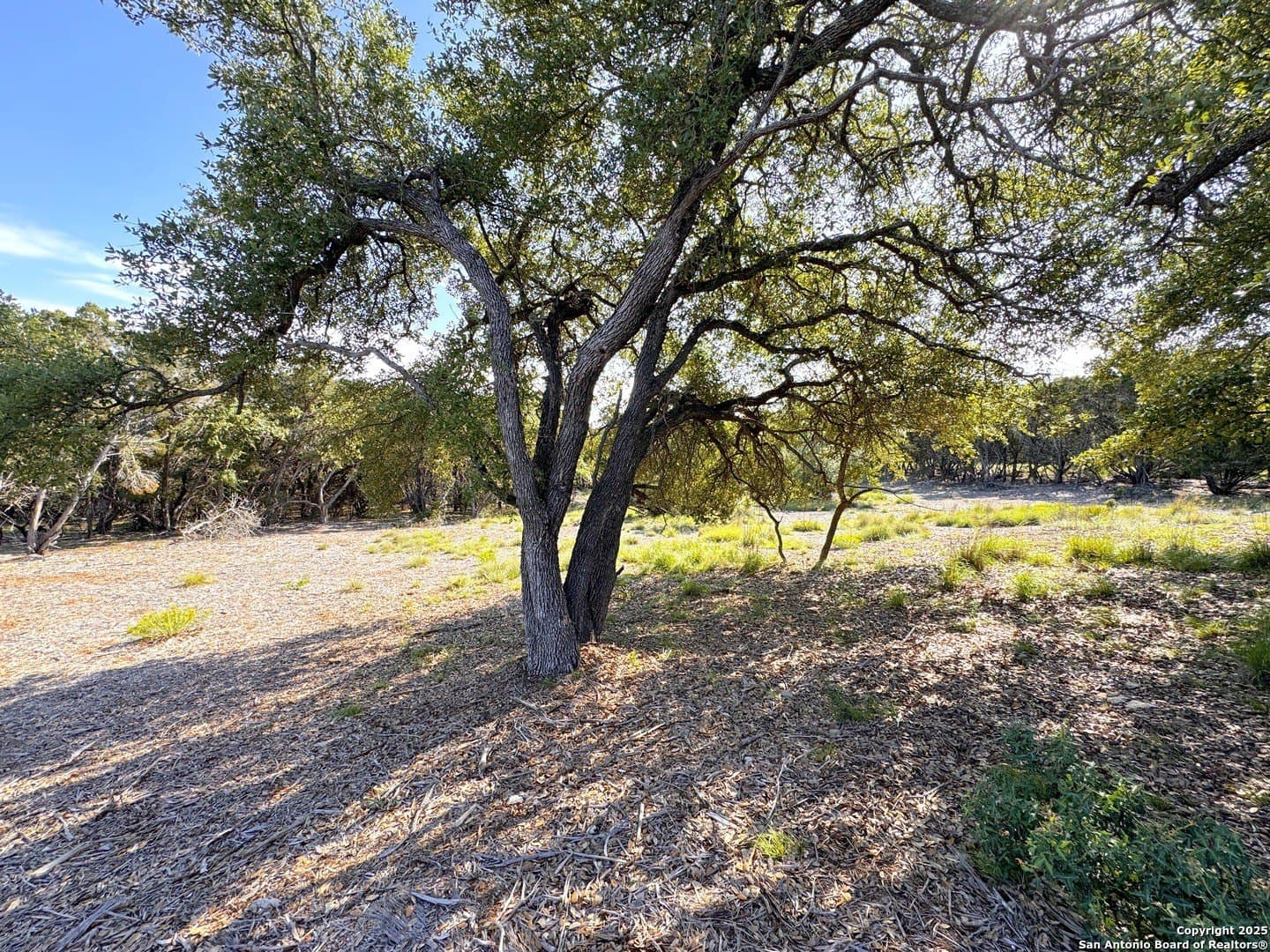 1.04 acres in Comal County gallery image 4