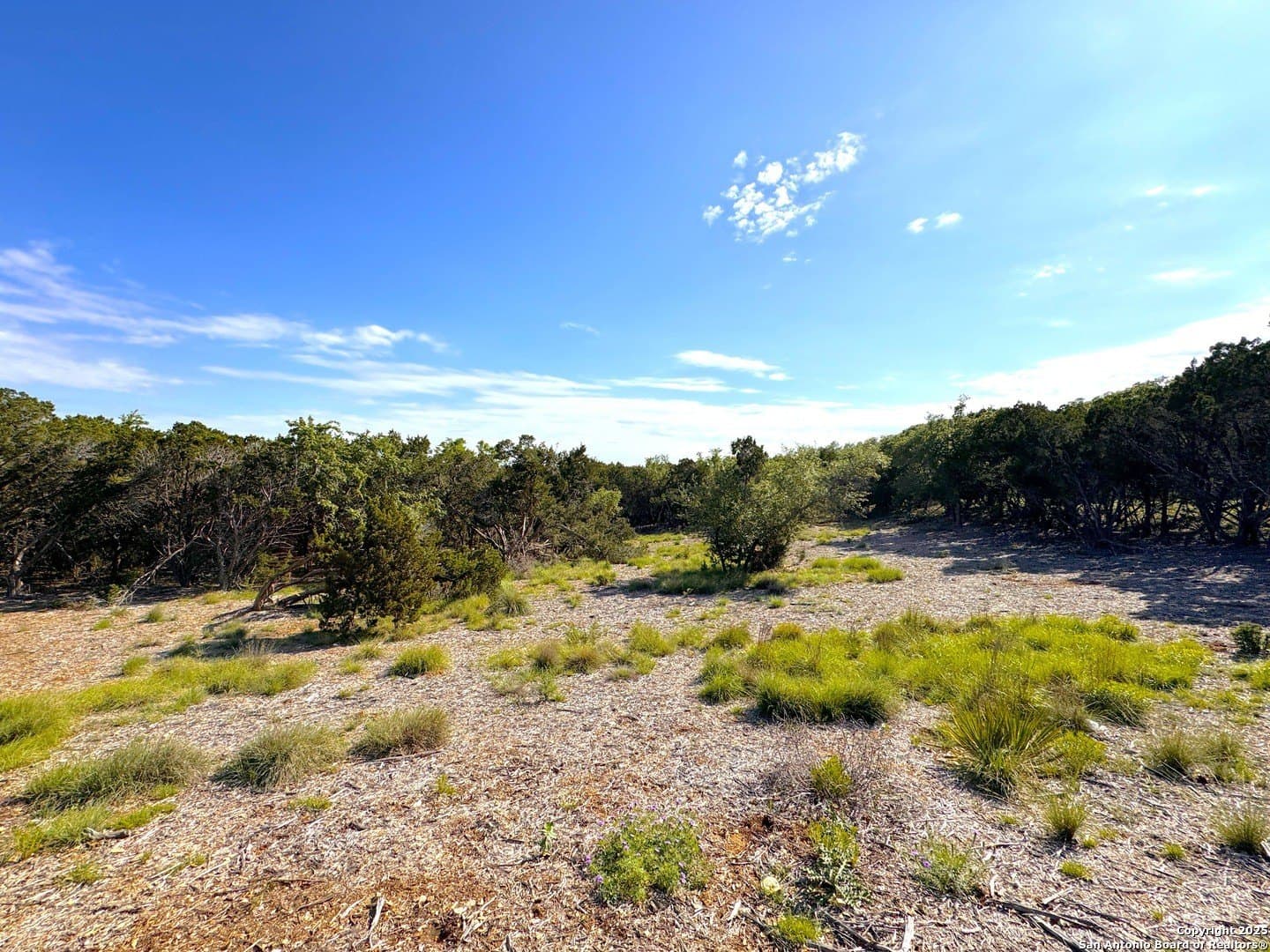 1.04 acres in Comal County - photo 10