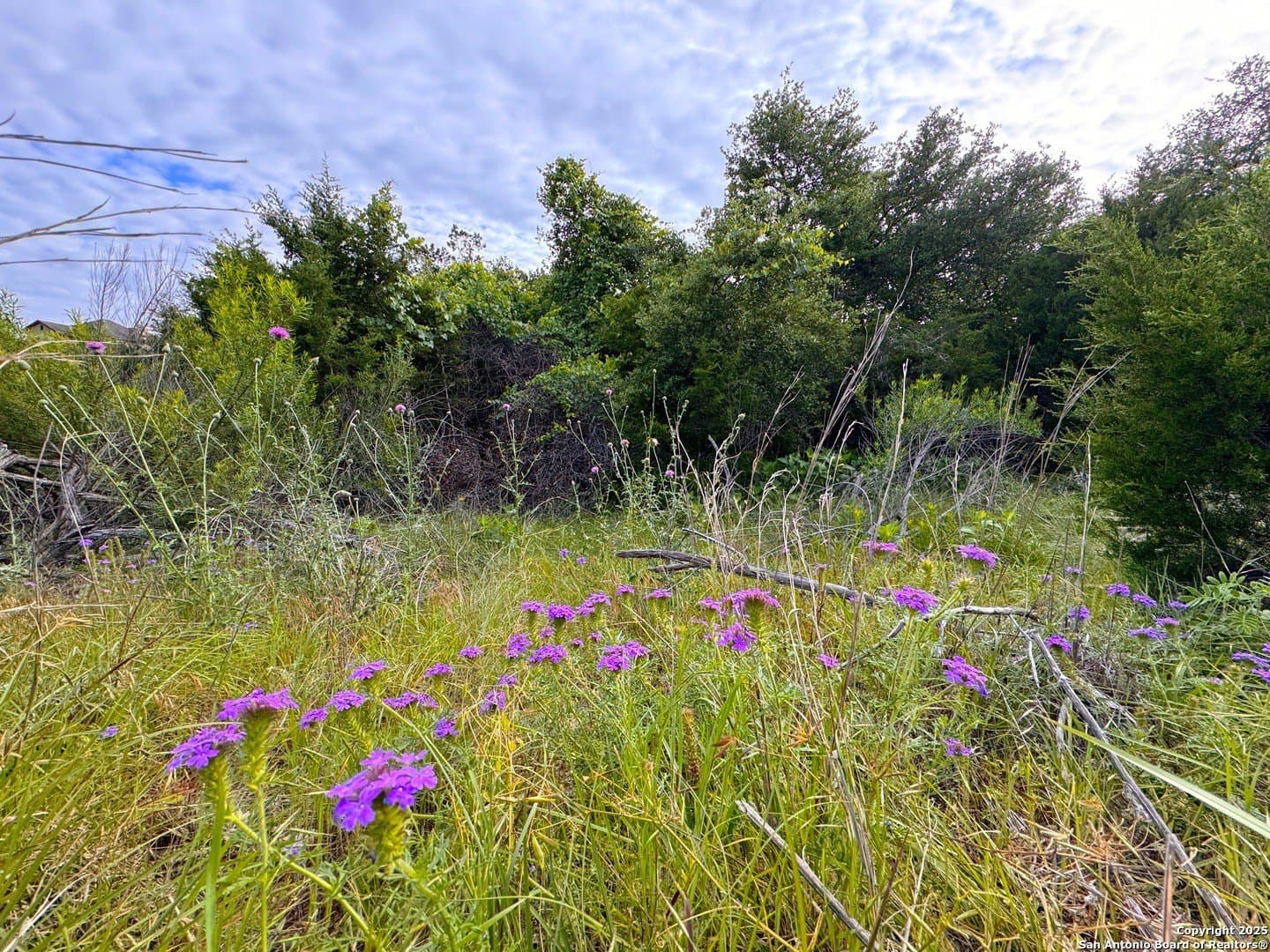 1.04 acres in Comal County gallery image 3