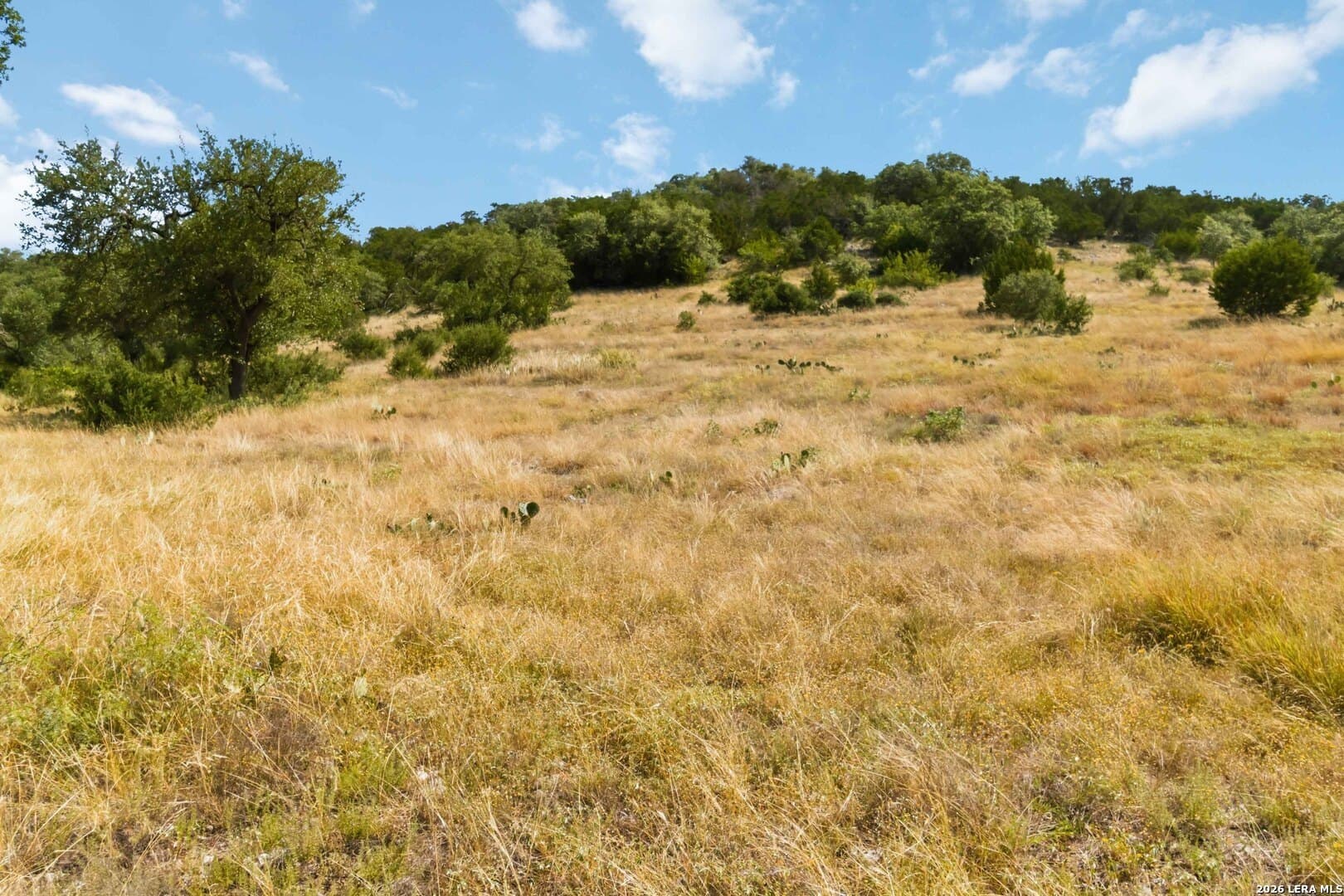 3.12 acres in Comal County - photo 10