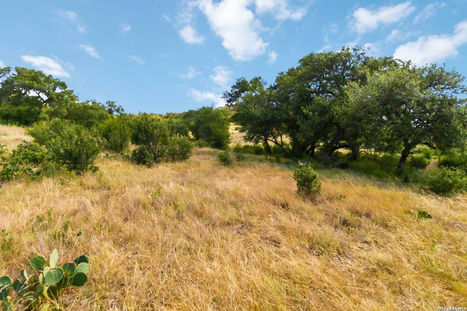 3.12 acres in Comal County - photo 7