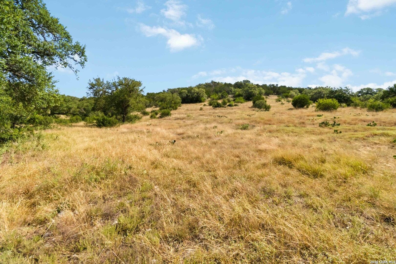 3.12 acres in Comal County - photo 9
