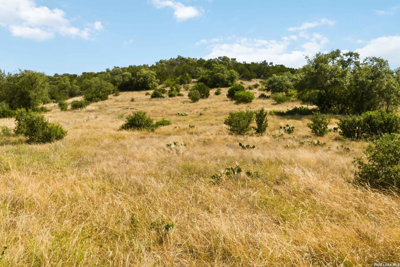 3.12 acres in Comal County - photo 13