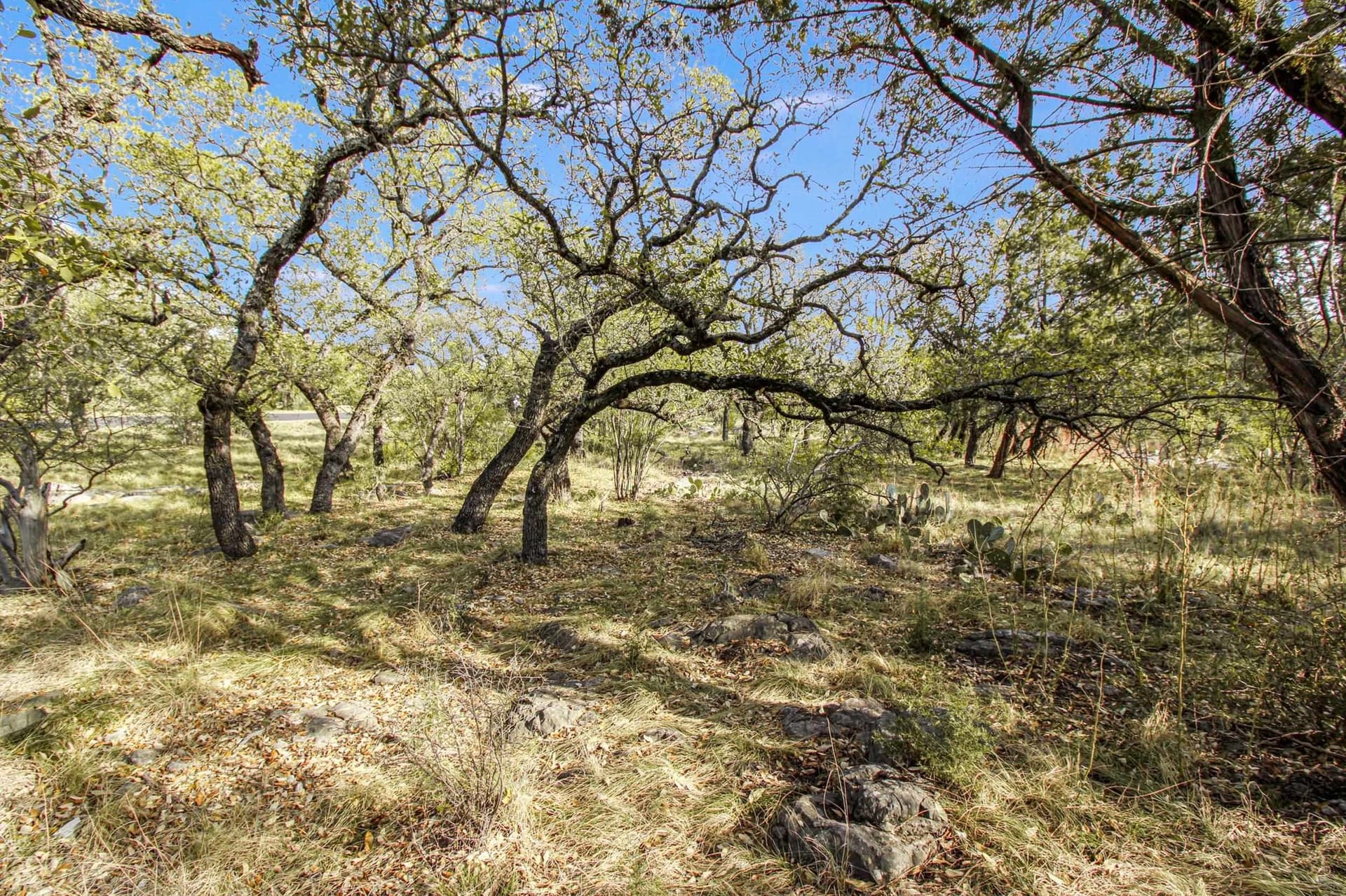 0.31 acres in Llano County - photo 6