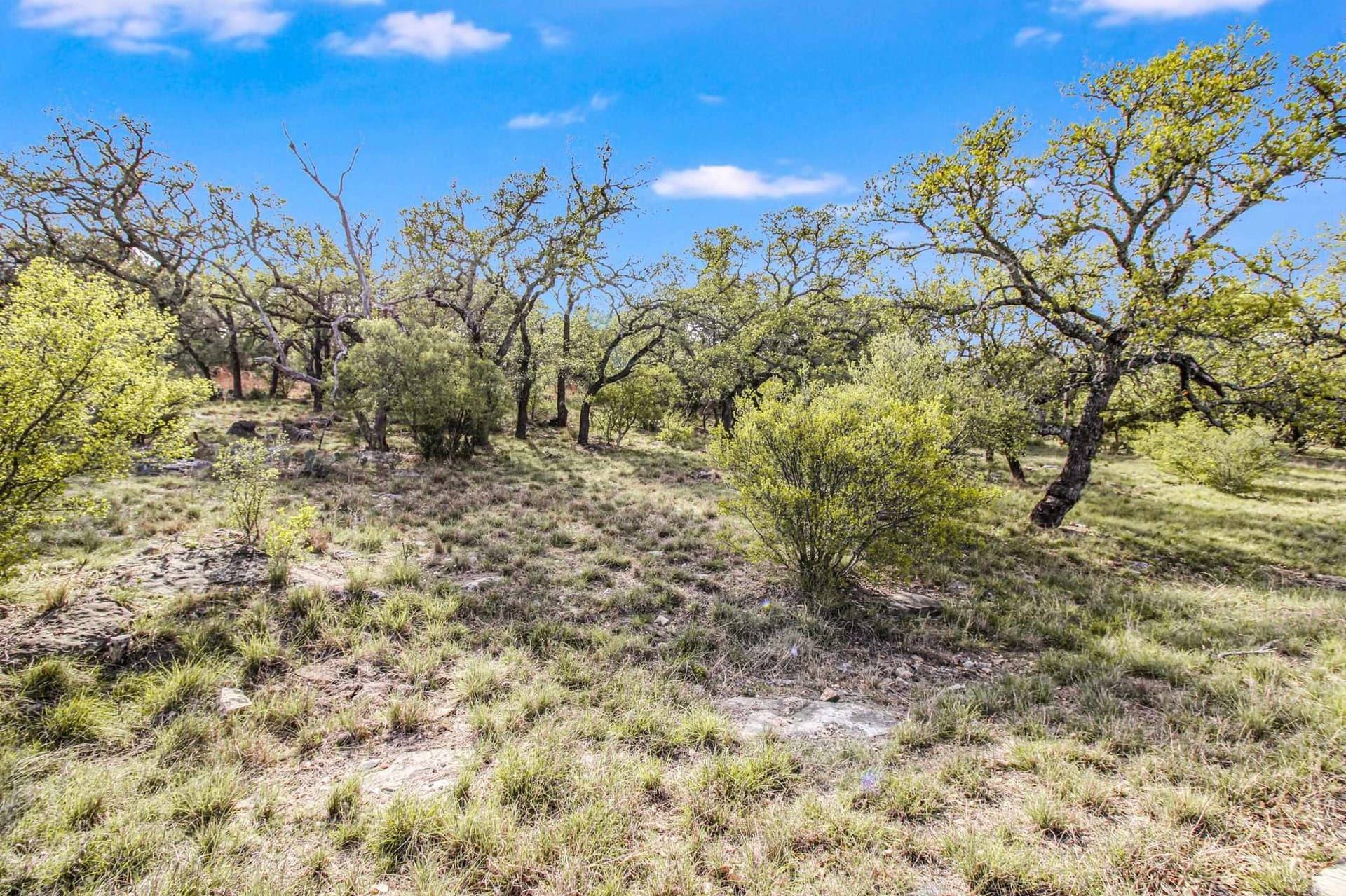 0.31 acres in Llano County gallery image 3