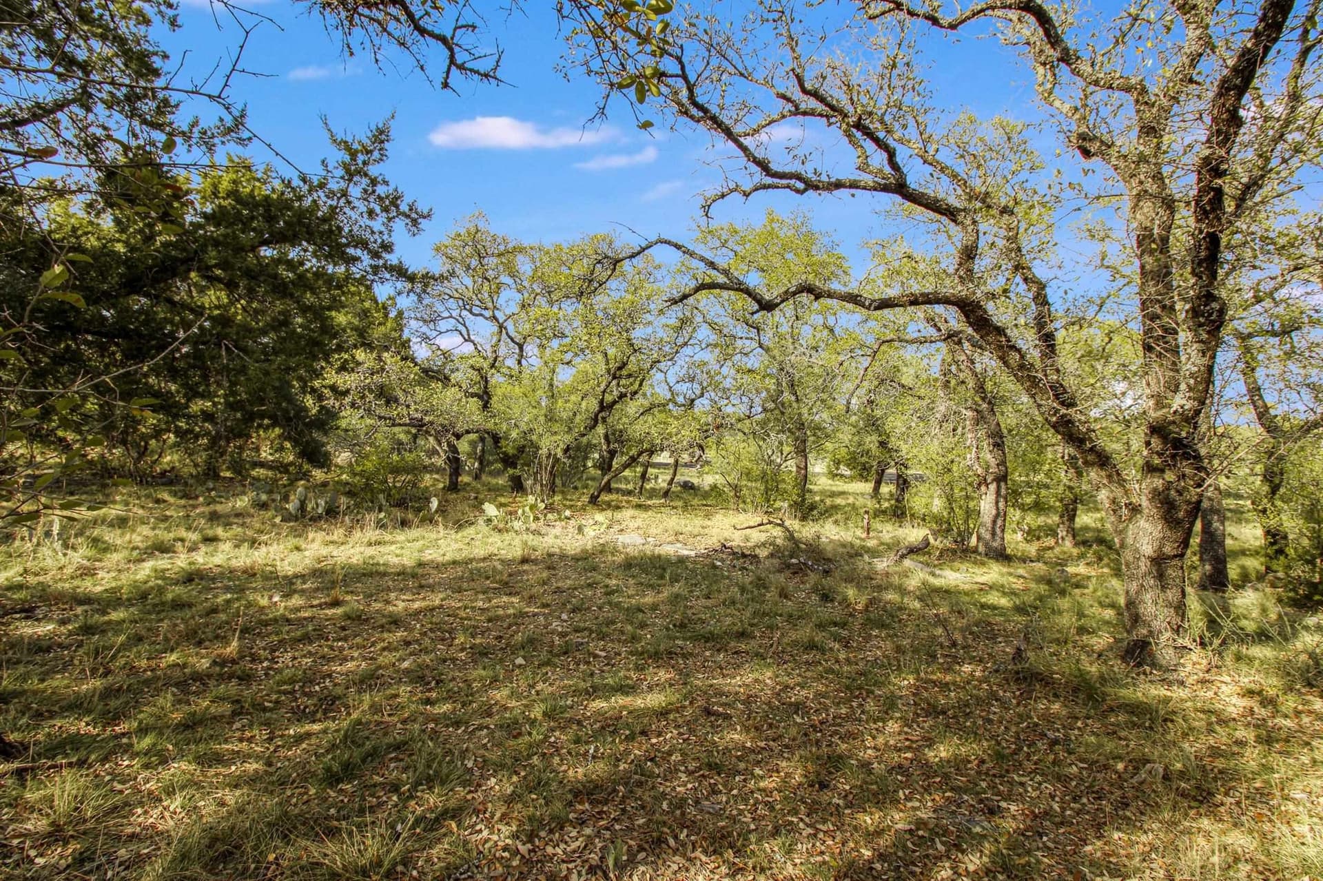 0.31 acres in Llano County - photo 8