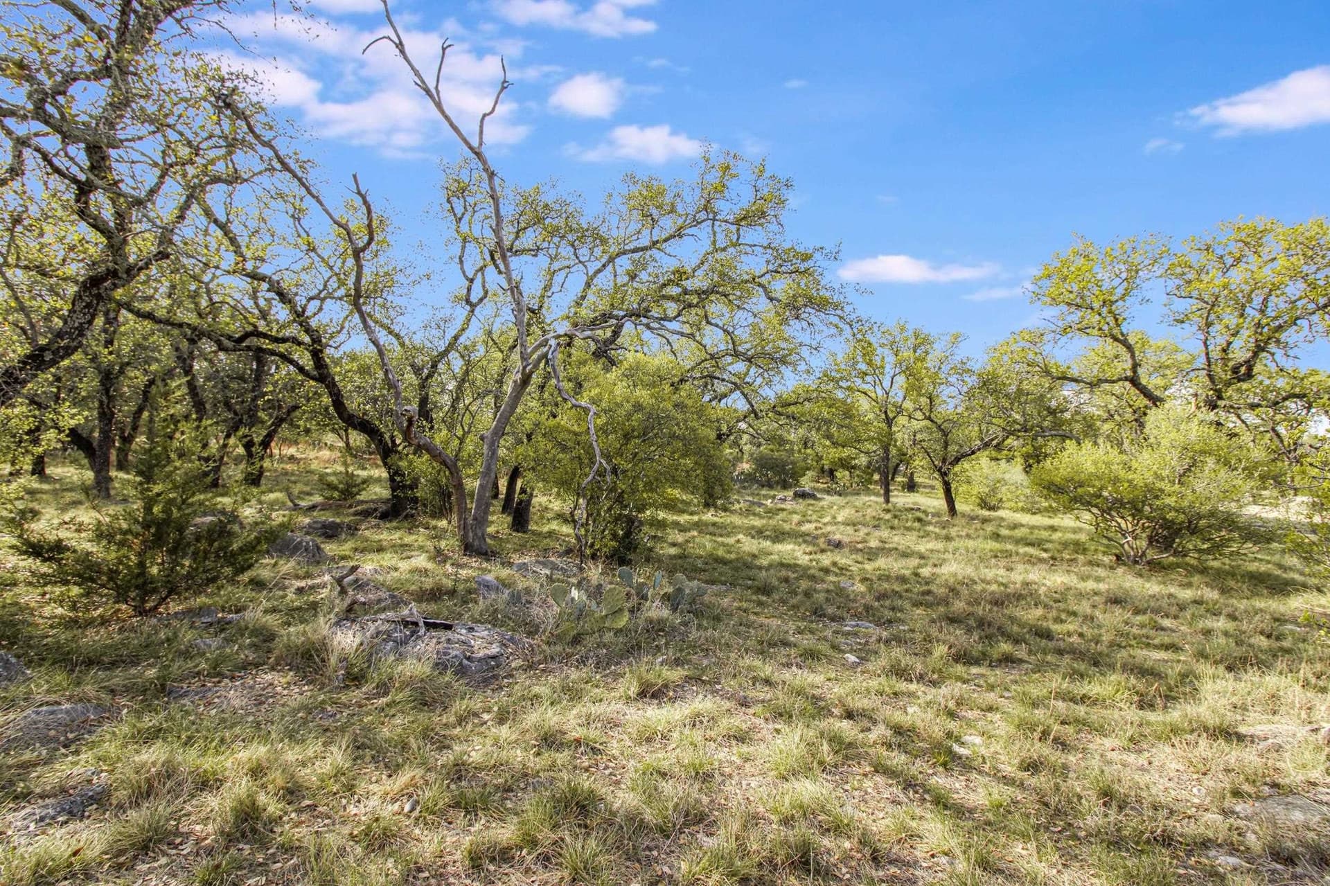 0.31 acres in Llano County - photo 10