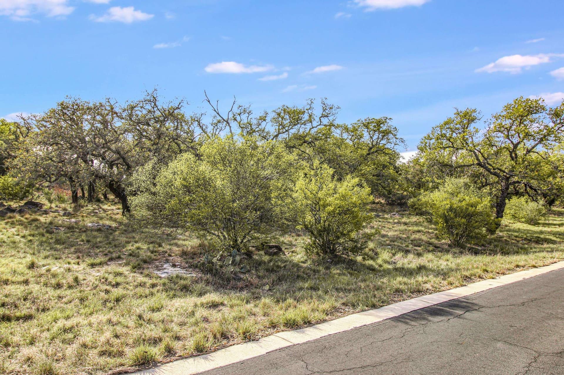 0.31 acres in Llano County - photo 12
