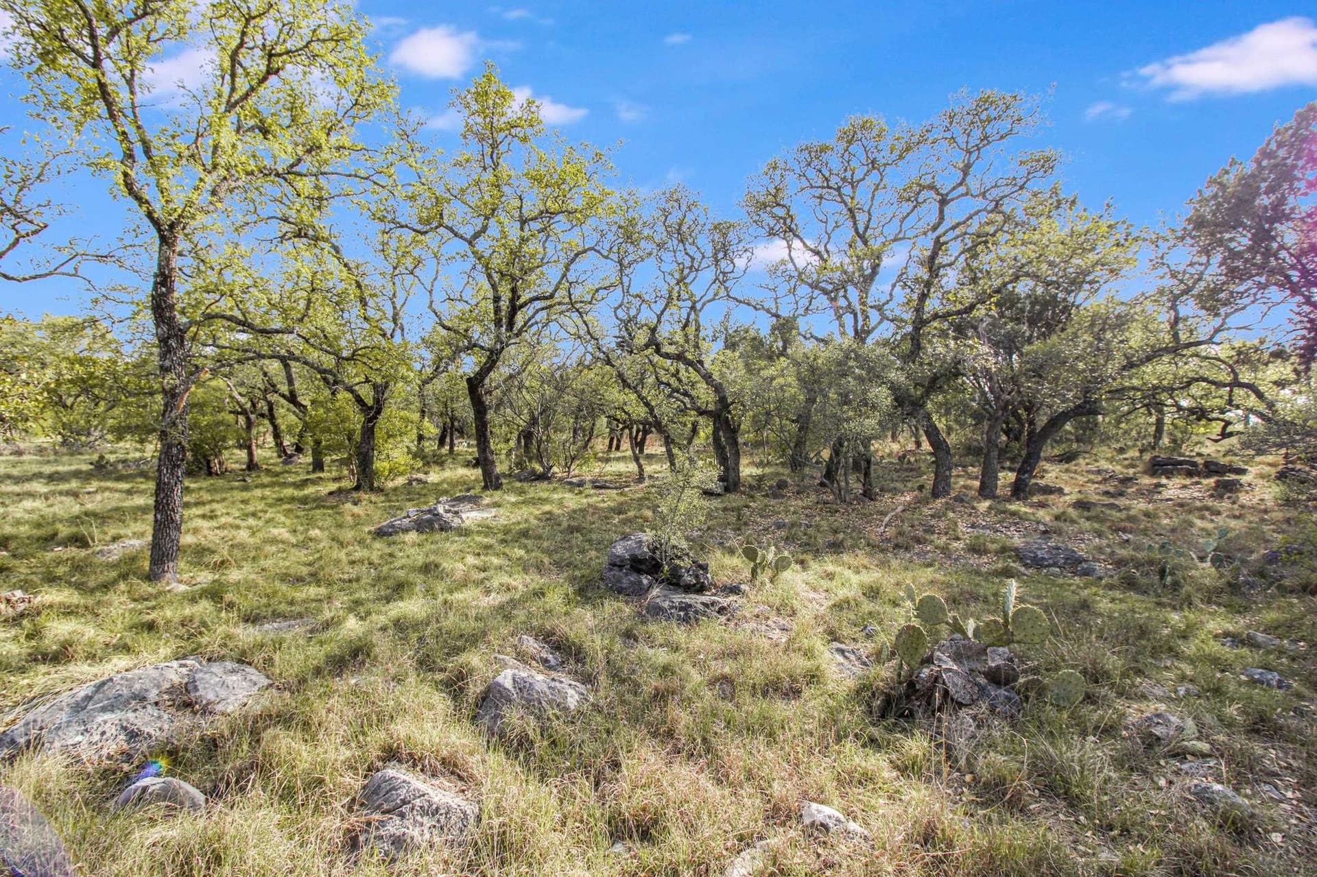 0.31 acres in Llano County featured view