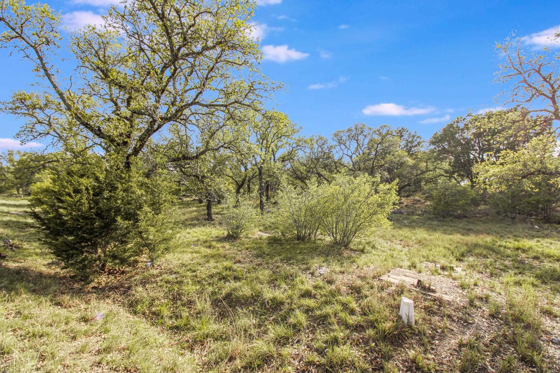 0.31 acres in Llano County gallery image 4