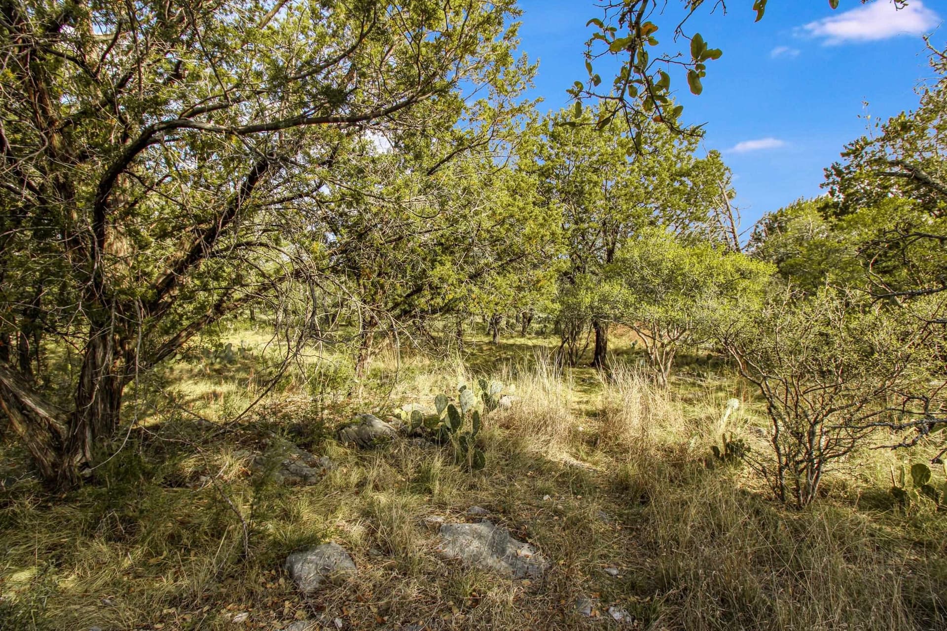 0.31 acres in Llano County - photo 7