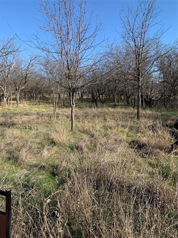 0.45 acres in Wise County gallery image 2