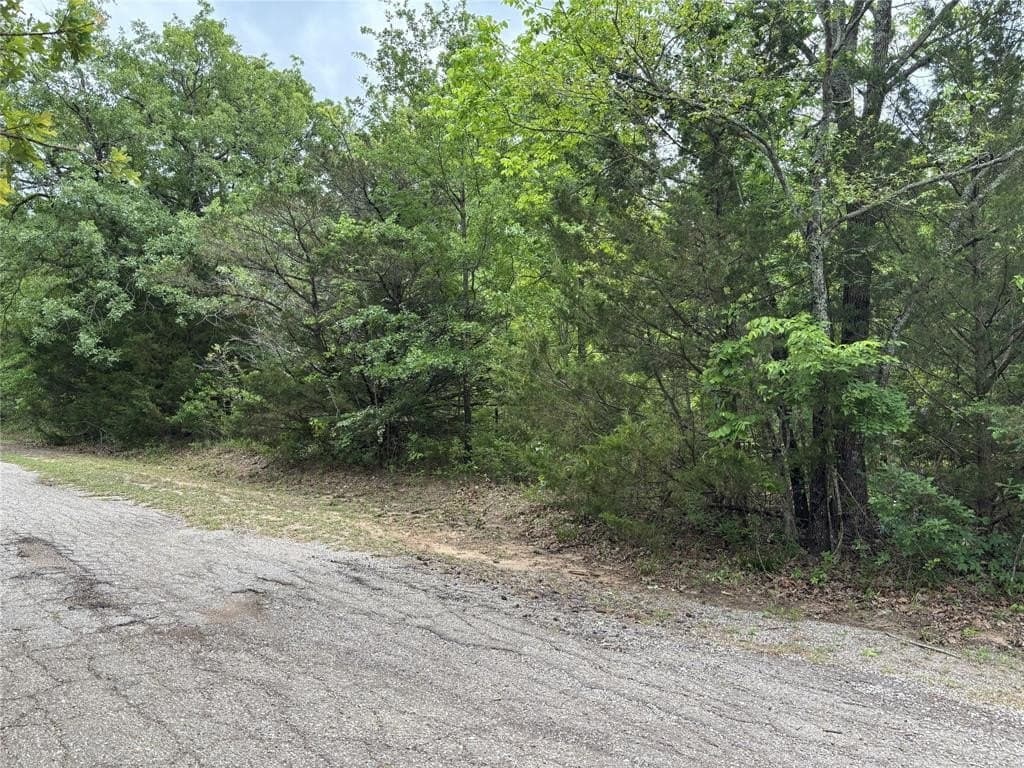 0.21 acres in Hunt County gallery image 2