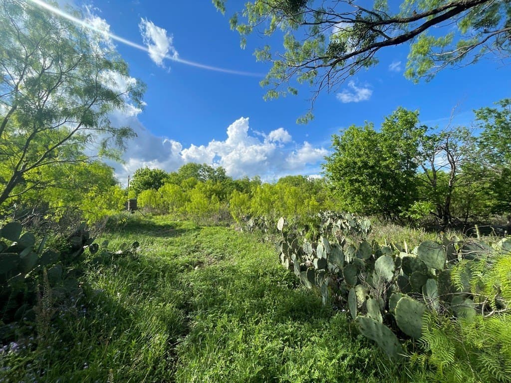 0.8 acres in Menard County gallery image 4