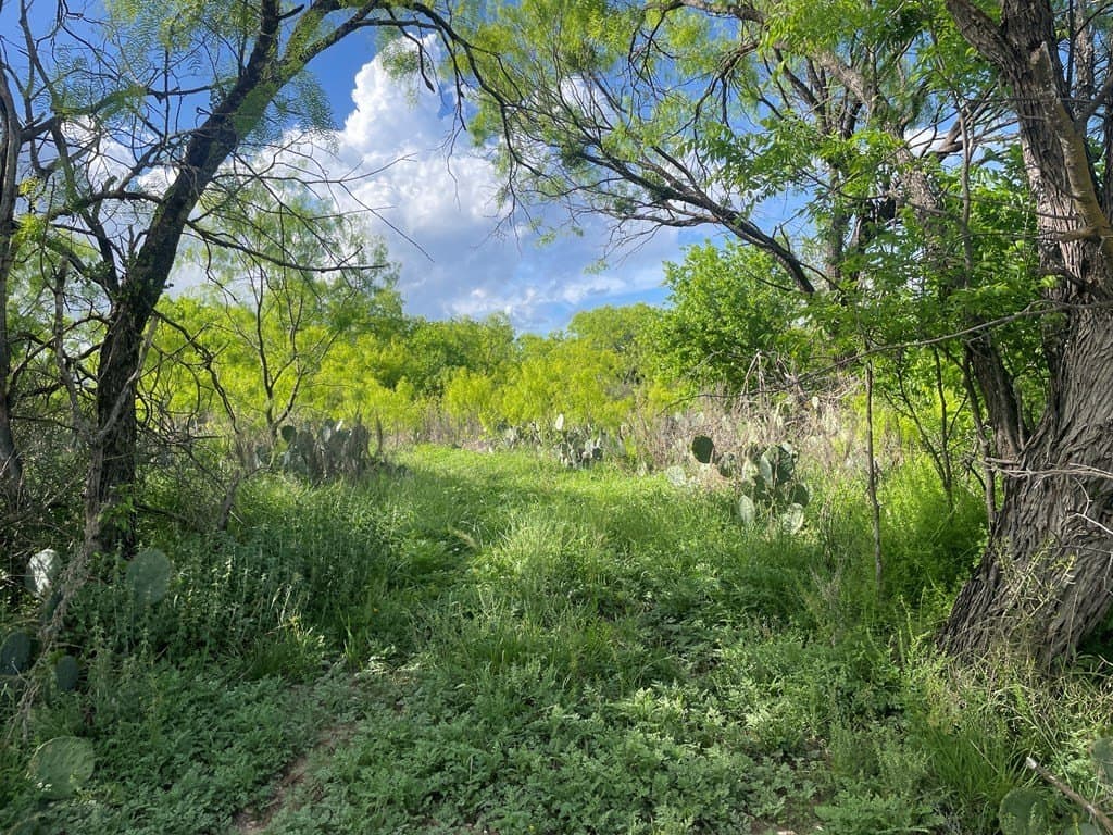 0.8 acres in Menard County gallery image 3