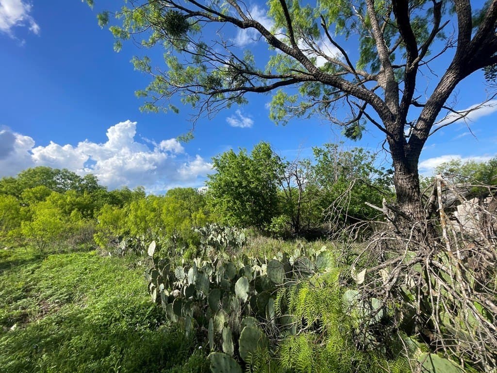 0.8 acres in Menard County featured view