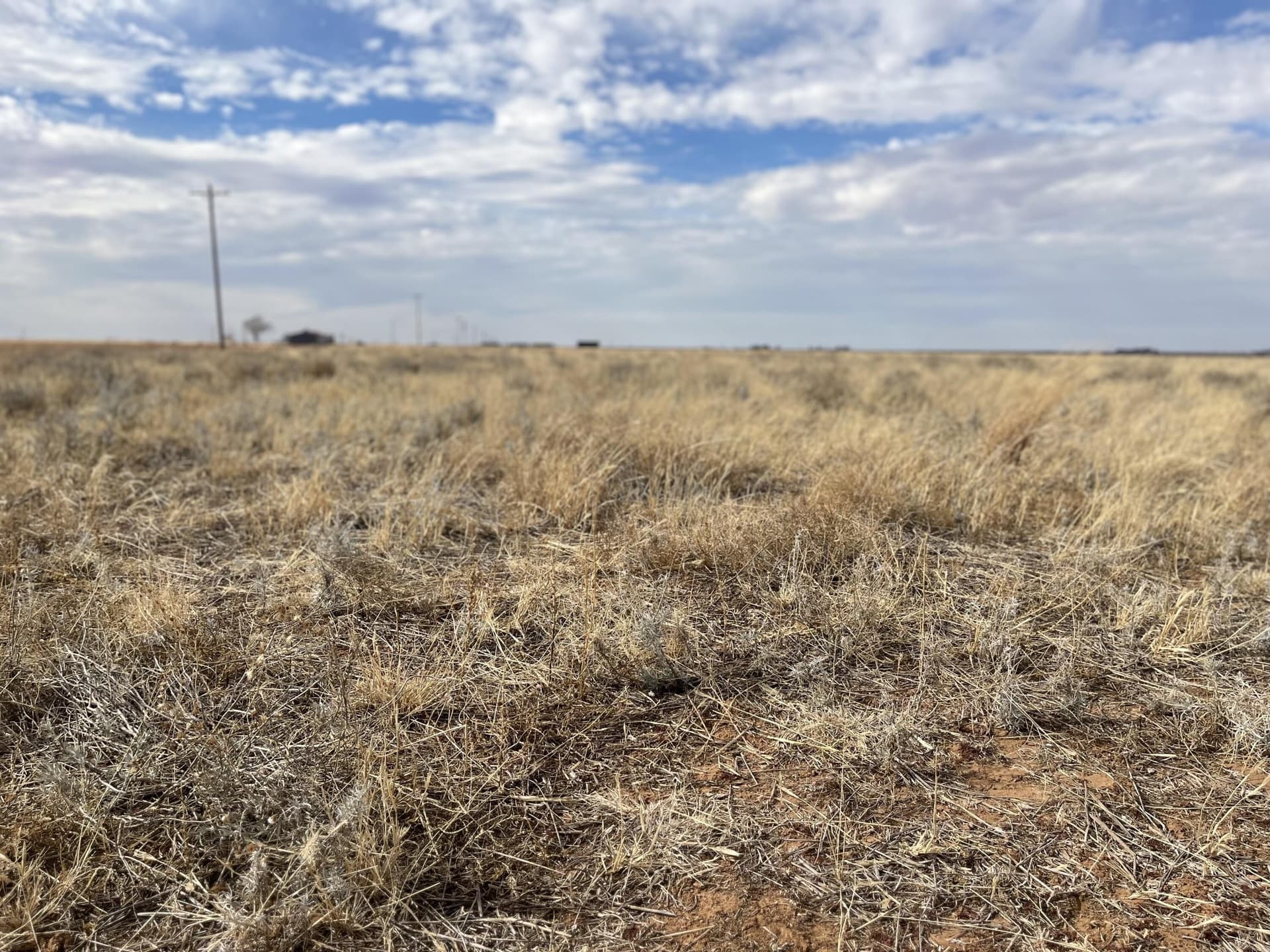 155 acres in Lynn County gallery image 3