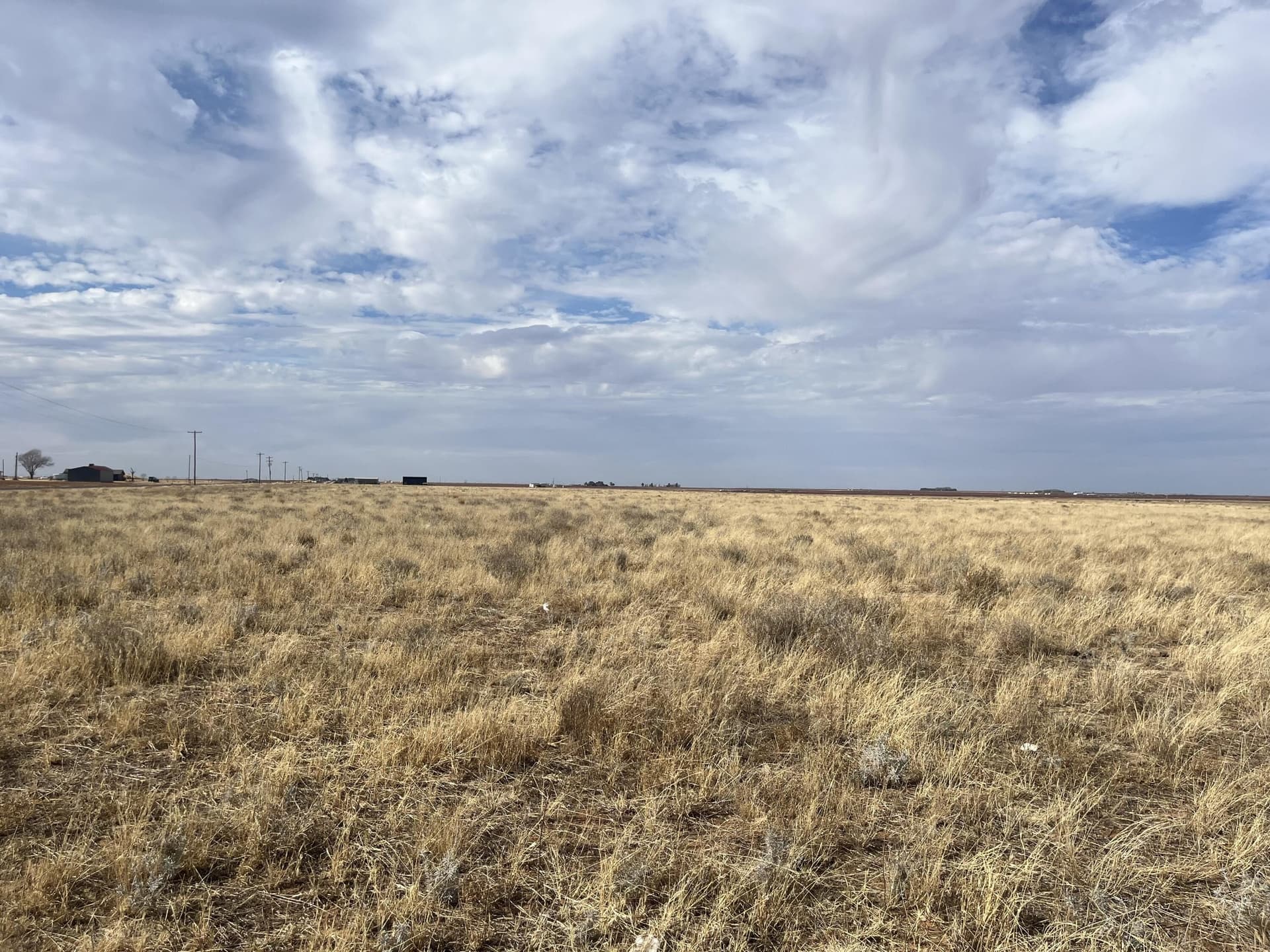 155 acres in Lynn County