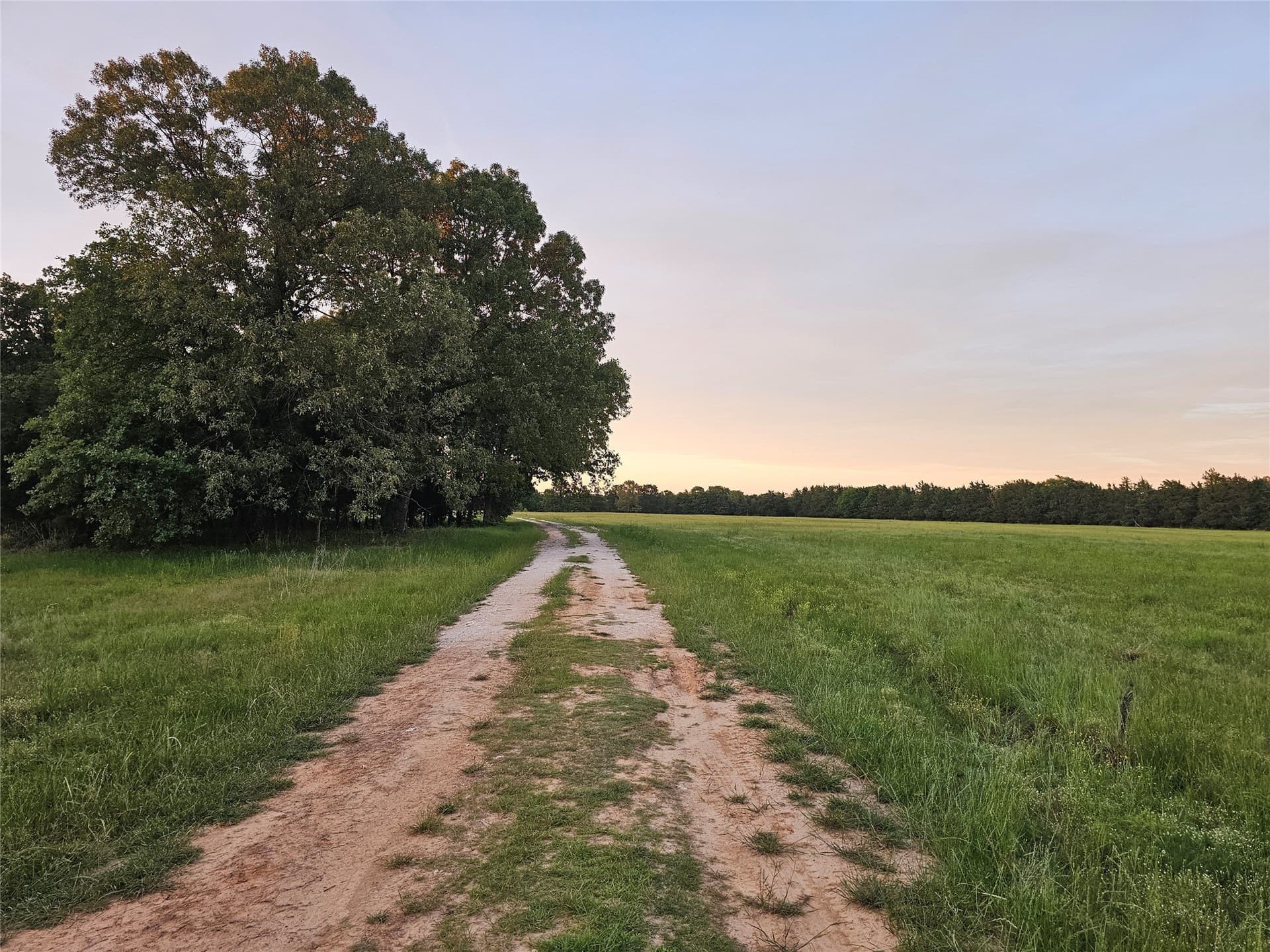 398.78 acres in Lamar County - photo 39