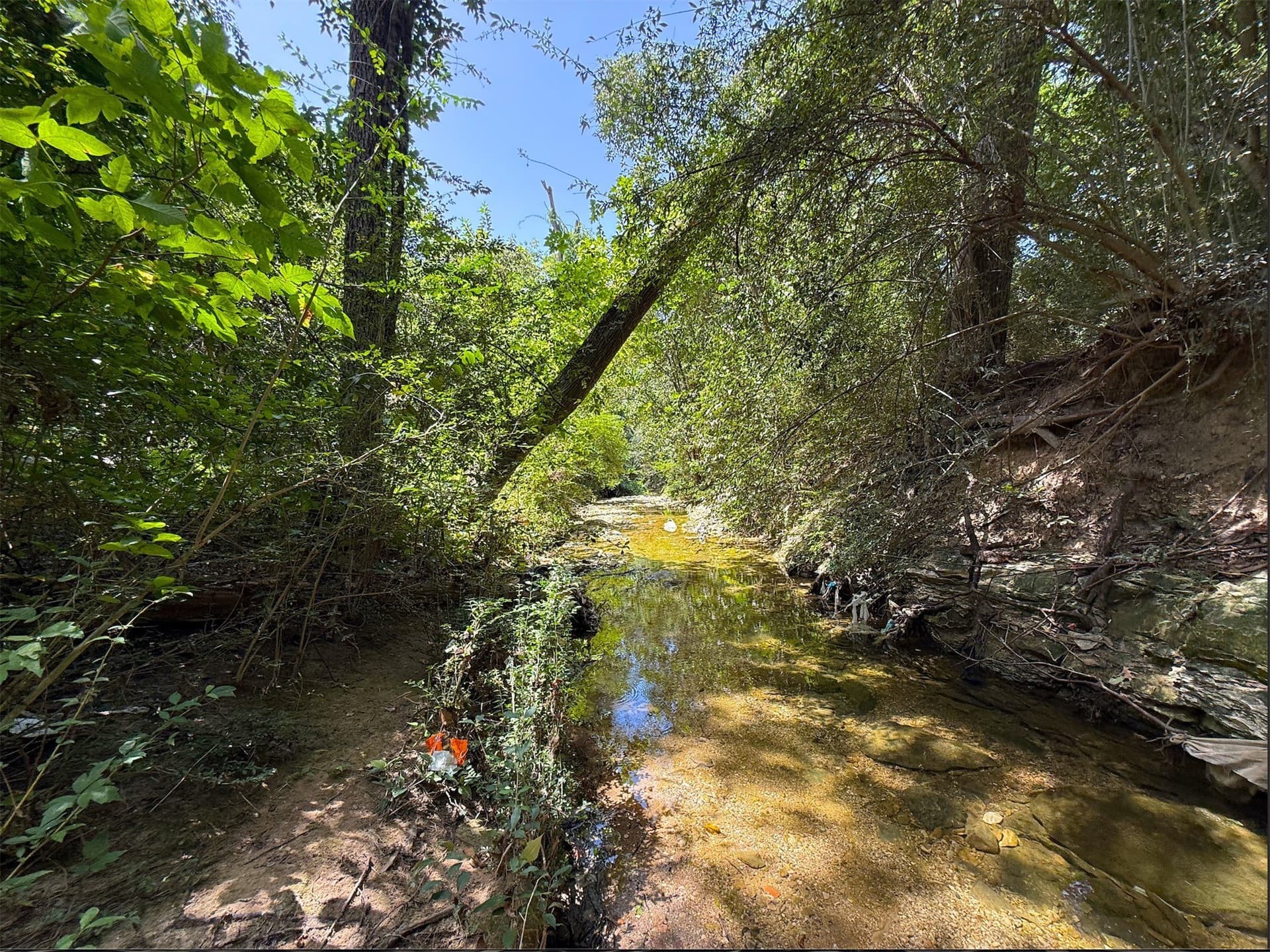 1.29 acres in Dallas County - photo 13