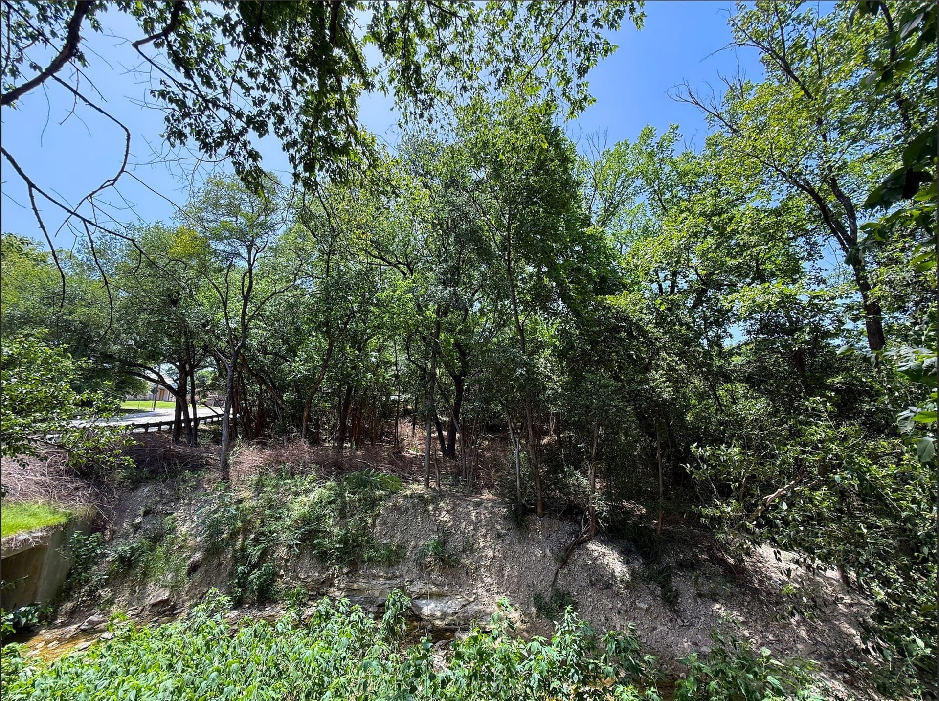 1.29 acres in Dallas County - photo 20