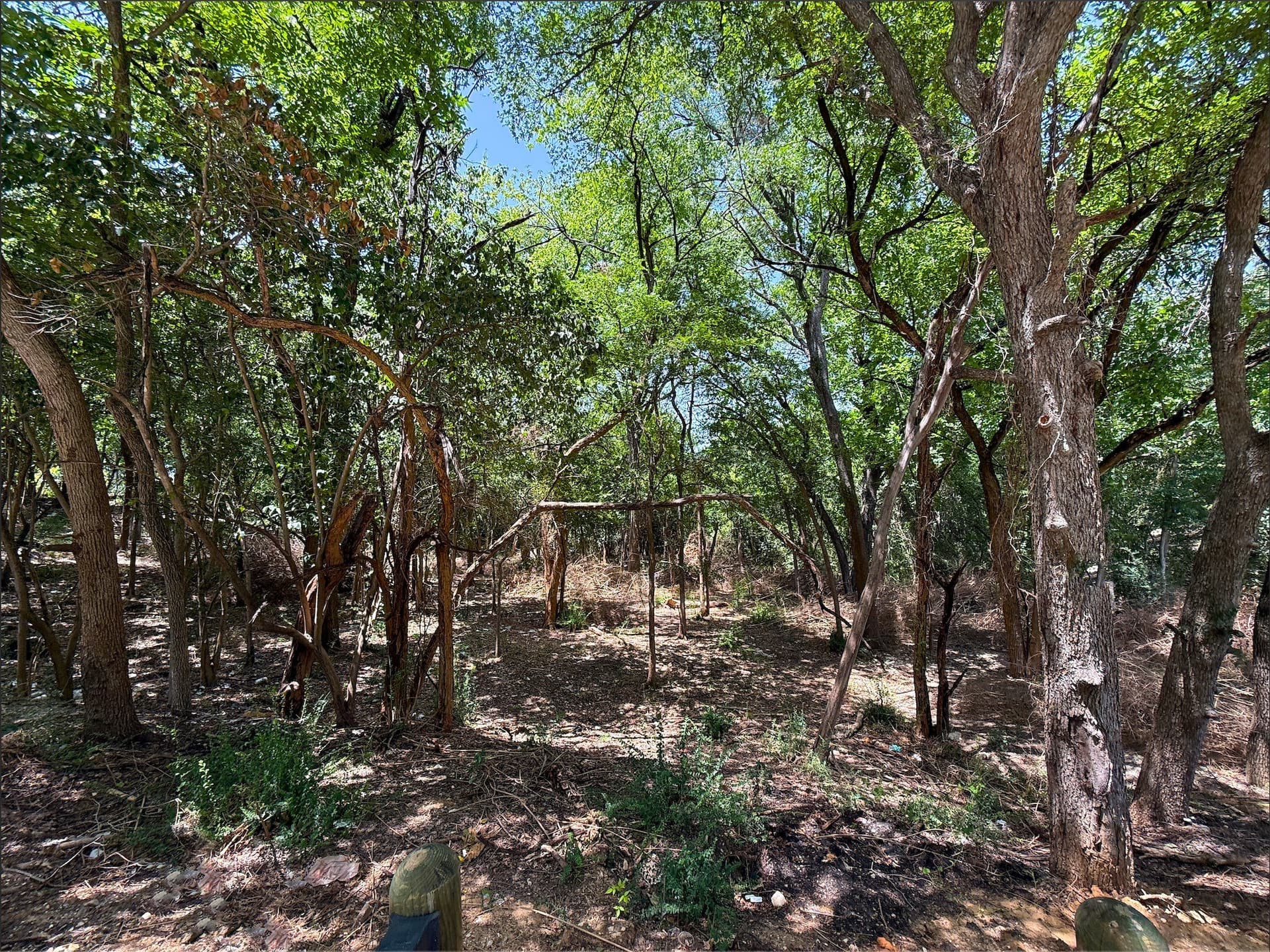 1.29 acres in Dallas County - photo 19