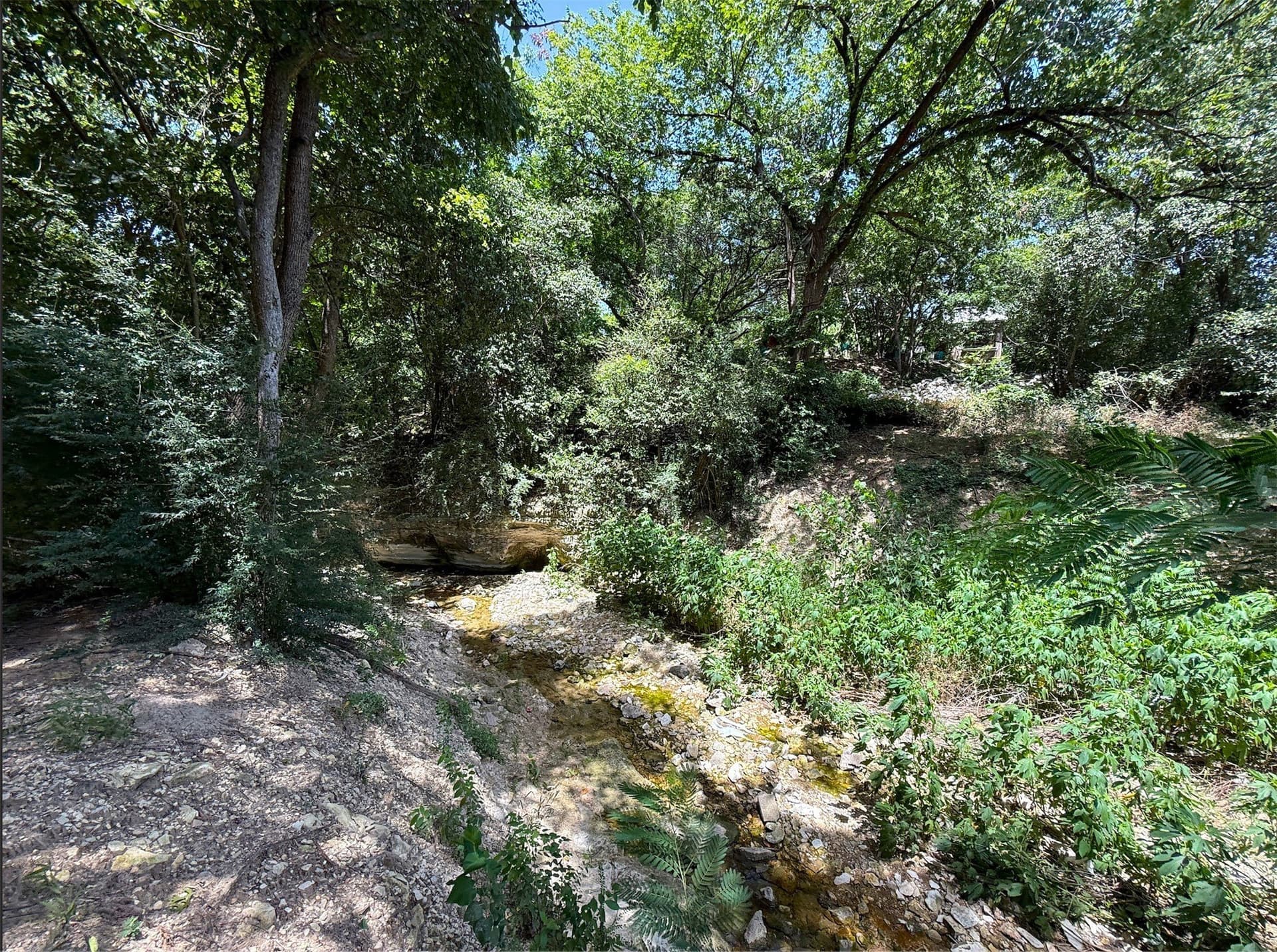 1.29 acres in Dallas County - photo 21